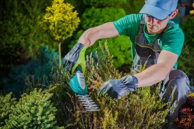 landscaping services Pine Prairie